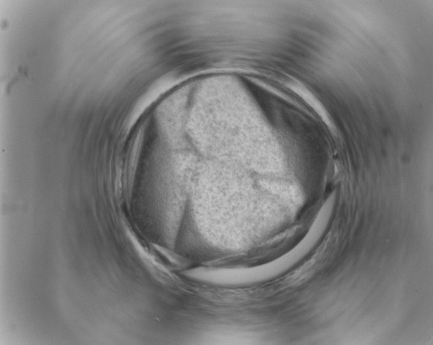 X0000088831101200707051416