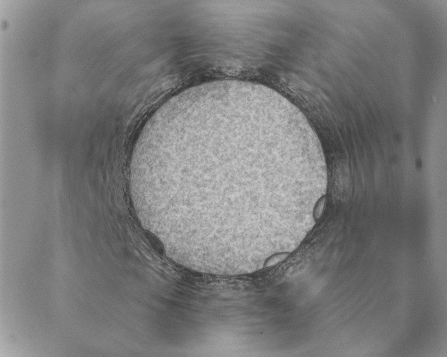 X0000088831105200707051415