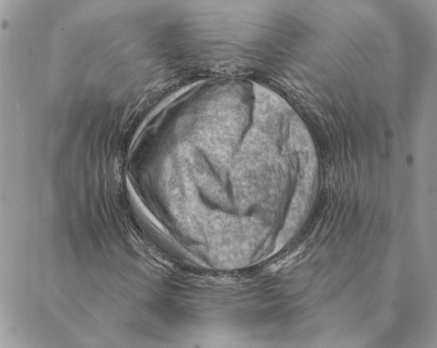 X0000088831106200707051415