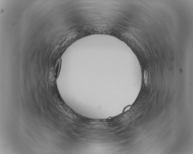 X0000088831107200707051415