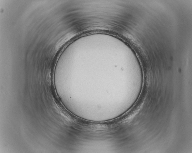 X0000088831113200707051415