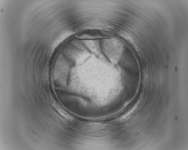 X0000088831114200707051415