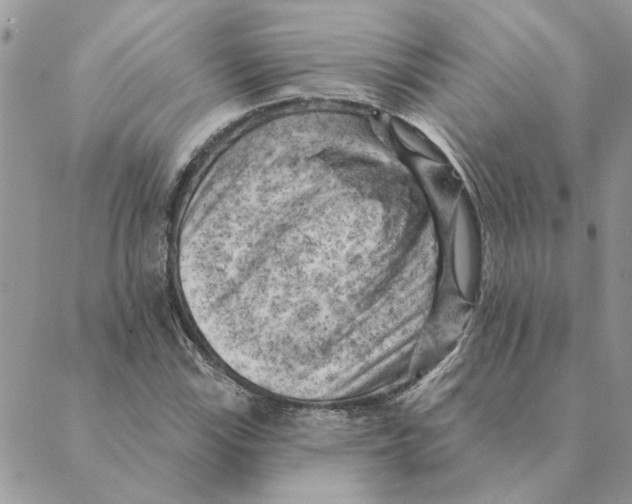 X0000088831115200707051415