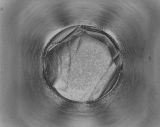 X0000088831120200707051415