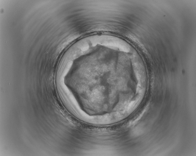 X0000088831121200707051415