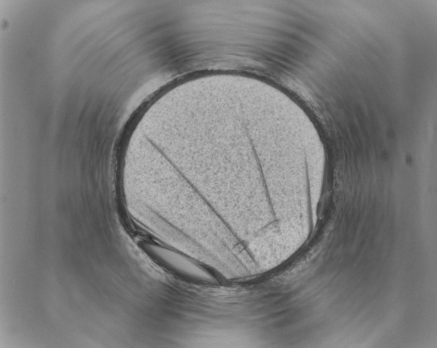 X0000088831122200707051415