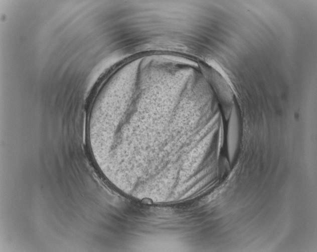 X0000088831123200707051415