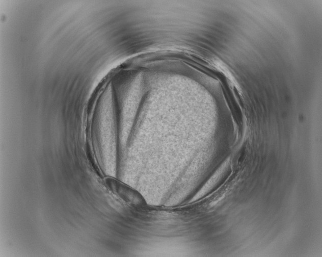 X0000088831124200707051415