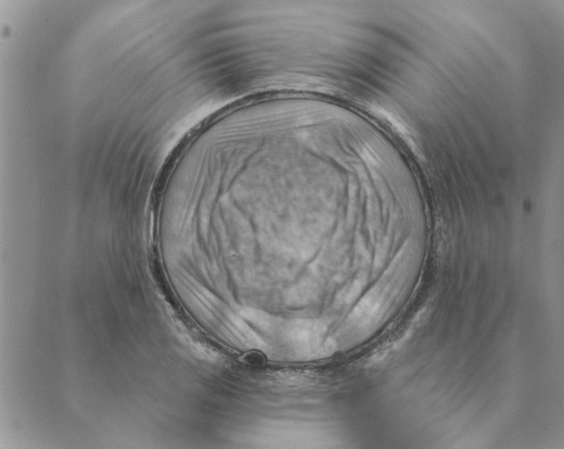 X0000088831125200707051415