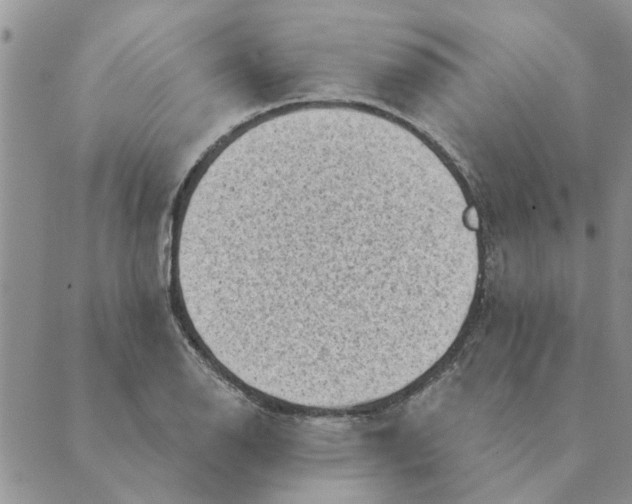 X0000088831126200707051415