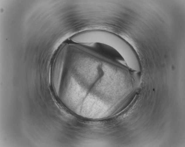 X0000088831127200707051415