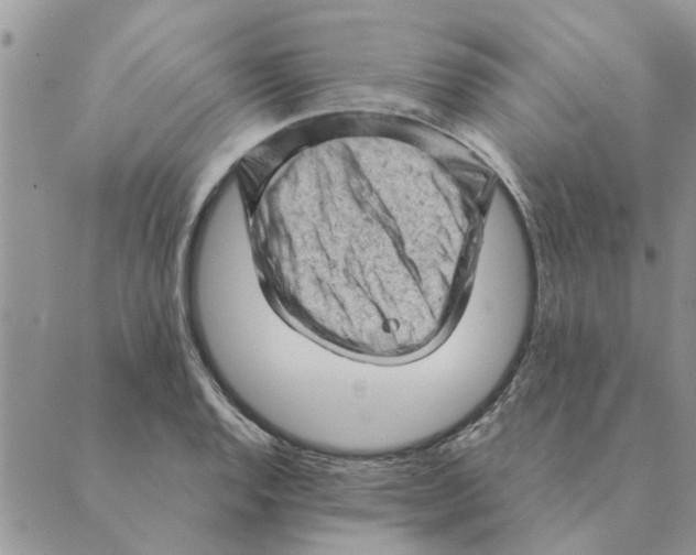 X0000088831128200707051415