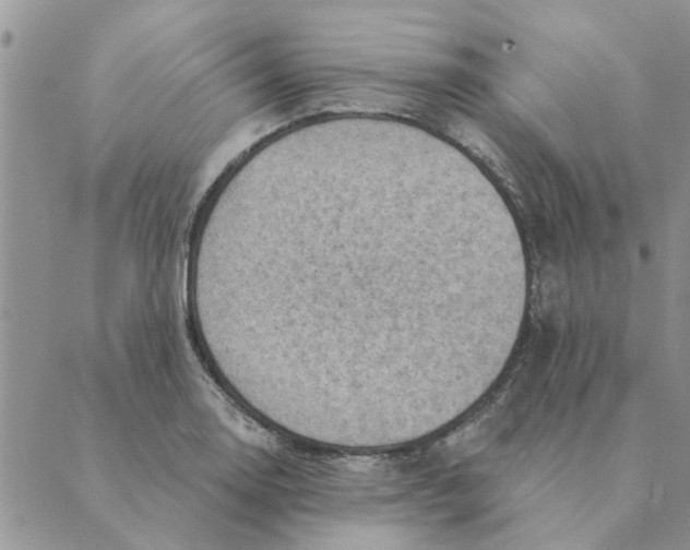 X0000088831130200707051415