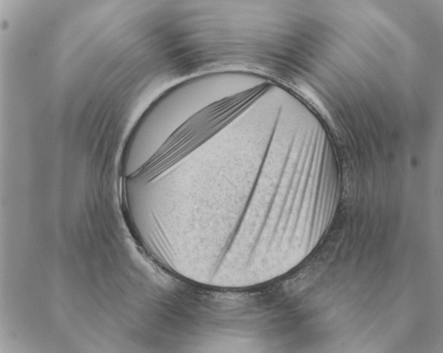 X0000088831132200707051415