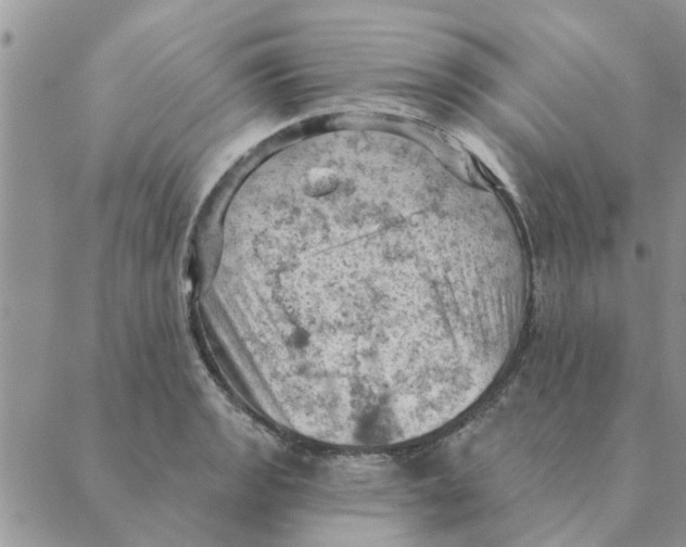 X0000088831133200707051415