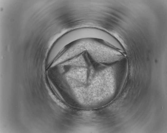 X0000088831134200707051415