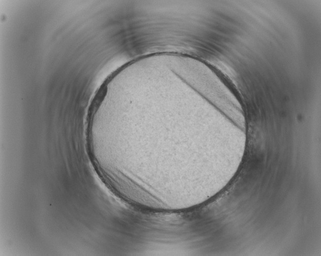 X0000088831135200707051415