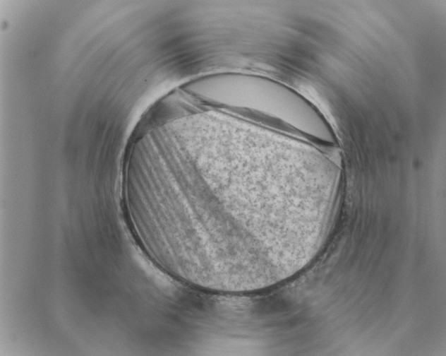 X0000088831136200707051415