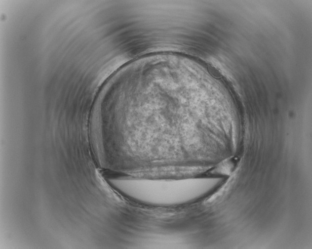 X0000088831137200707051415