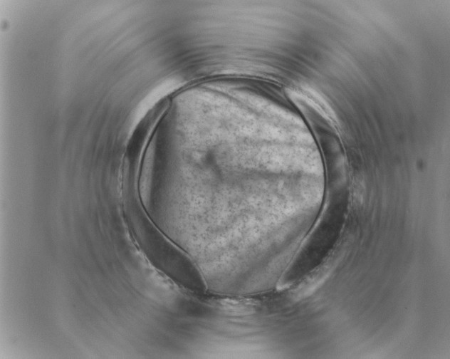 X0000088831138200707051415