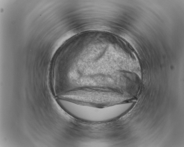 X0000088831139200707051415