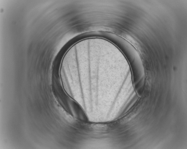 X0000088831140200707051415