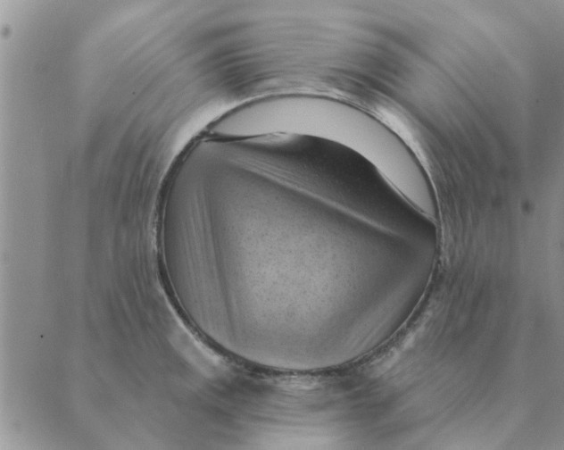 X0000088831141200707051415