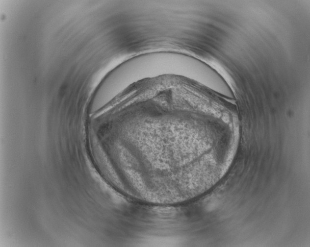 X0000088831142200707051415