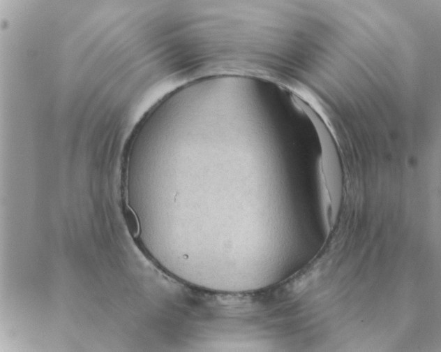 X0000088831147200707051416