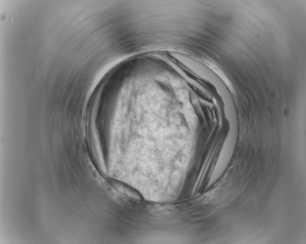 X0000088831148200707051416