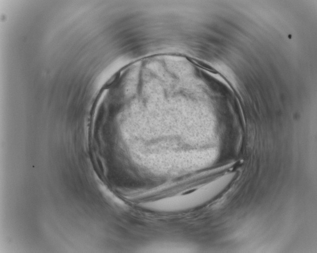 X0000088831151200707051416