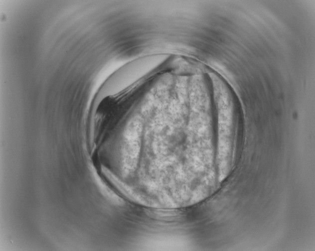 X0000088831152200707051416