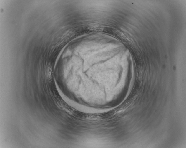 X0000088831154200707051415