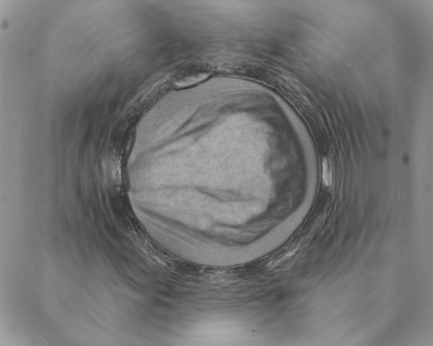 X0000088831155200707051415