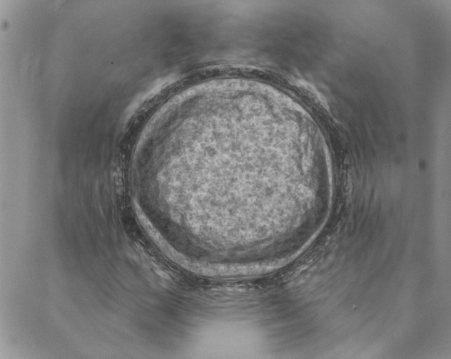 X0000088831159200707051415