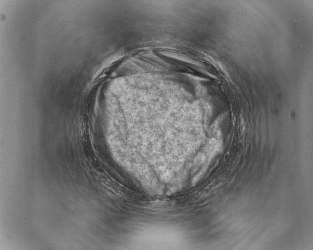 X0000088831160200707051415