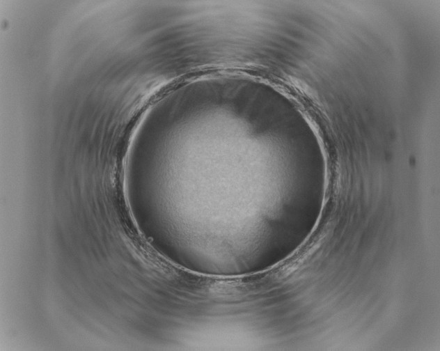 X0000088831161200707051415