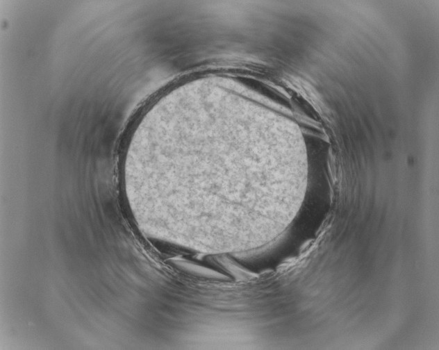 X0000088831164200707051415