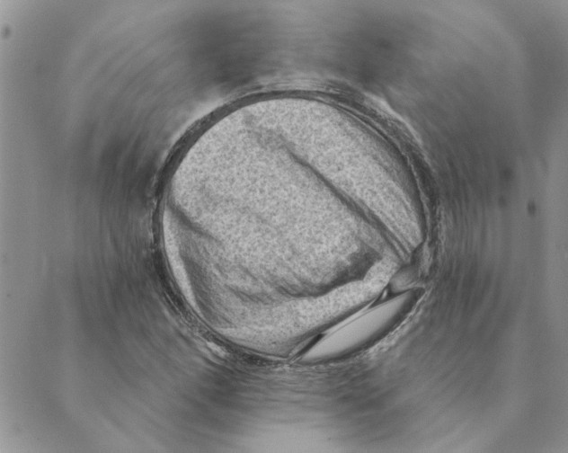 X0000088831166200707051415