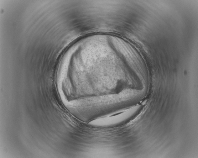 X0000088831170200707051415