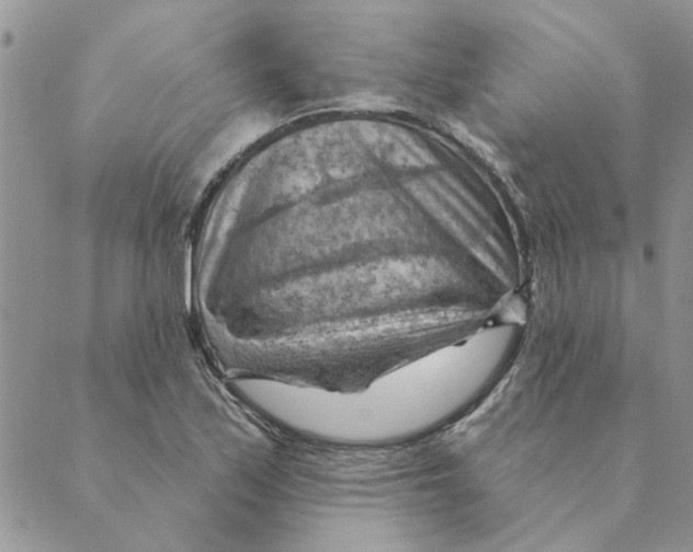 X0000088831171200707051415