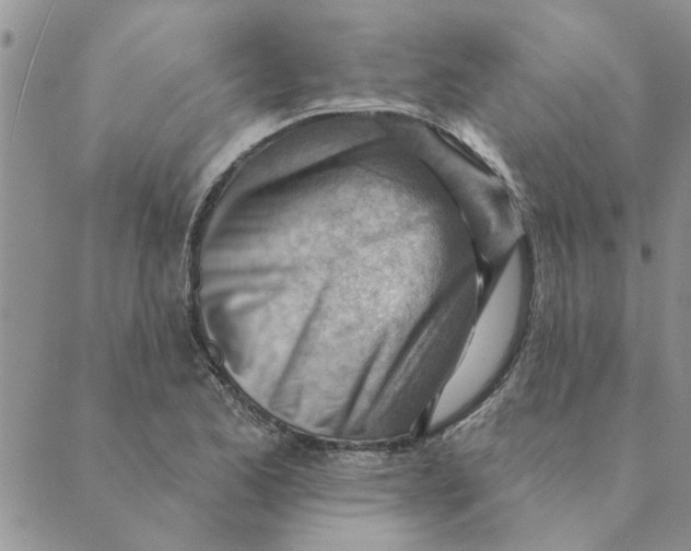 X0000088831173200707051415