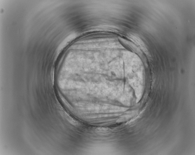 X0000088831180200707051414