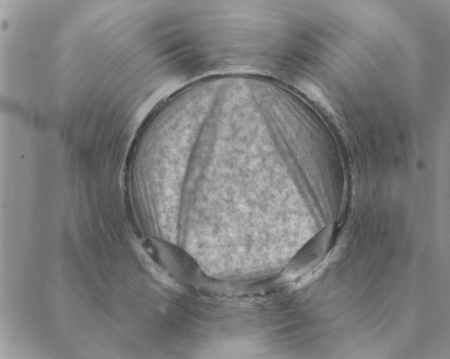 X0000088831181200707051414