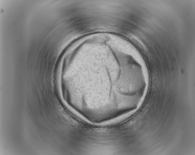 X0000088831182200707051414