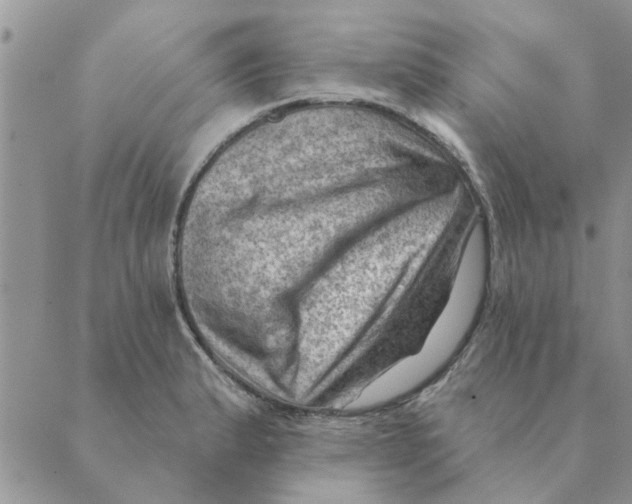 X0000088831183200707051414