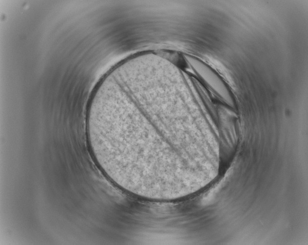 X0000088831184200707051414