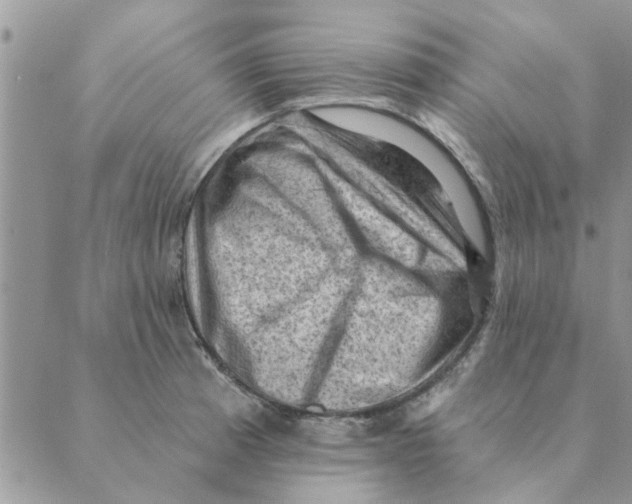 X0000088831185200707051414