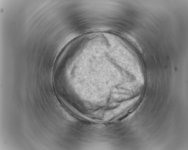 X0000088831186200707051414