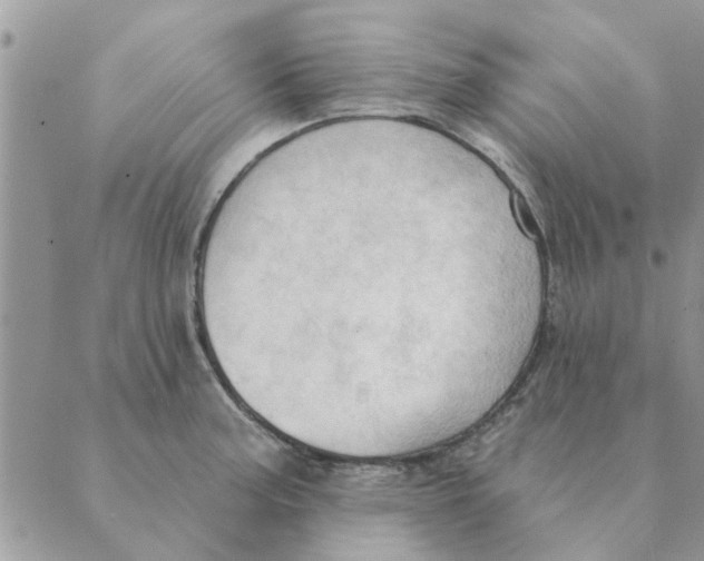 X0000088831187200707051414